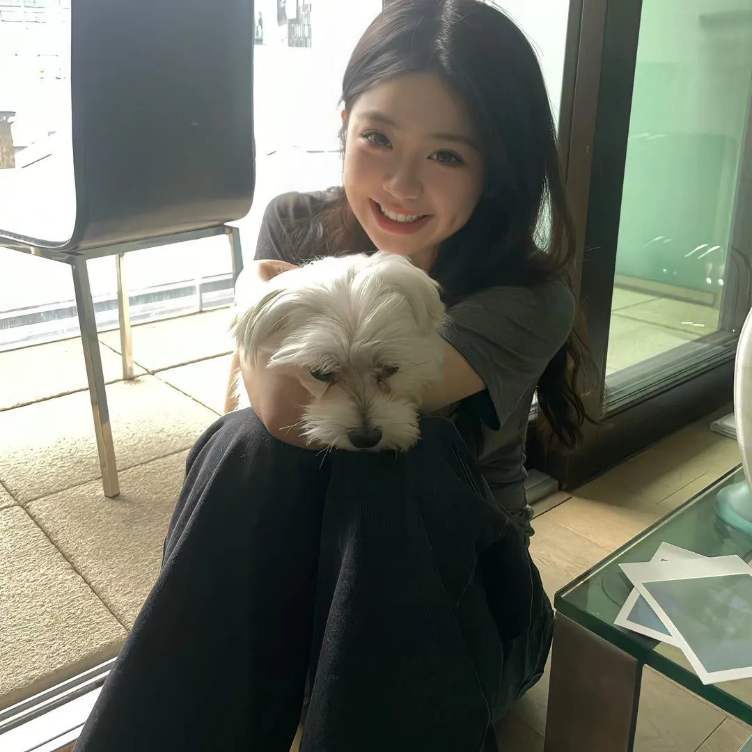 2025江苏卫视ai荔枝元宵晚会